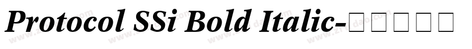 Protocol SSi Bold Italic字体转换